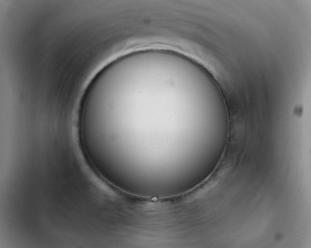 X0000103151518200808221319