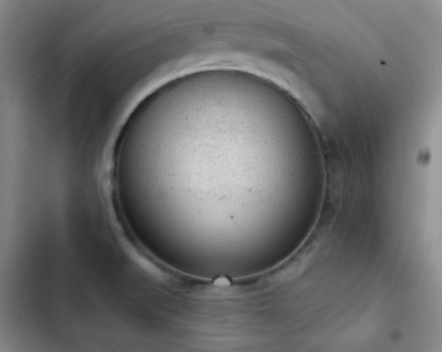 X0000103151519200808221319