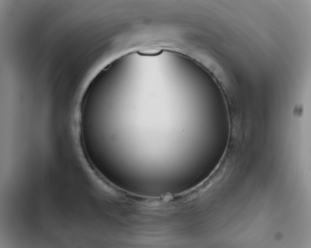 X0000103151520200808221319