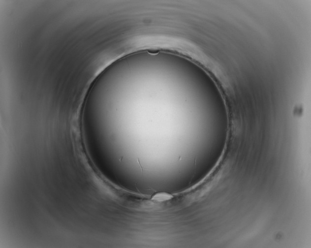 X0000103151521200808221319