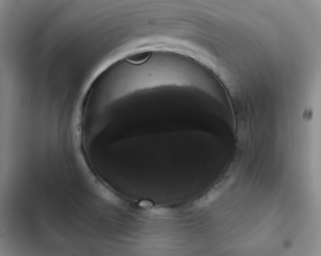 X0000103151522200808221319