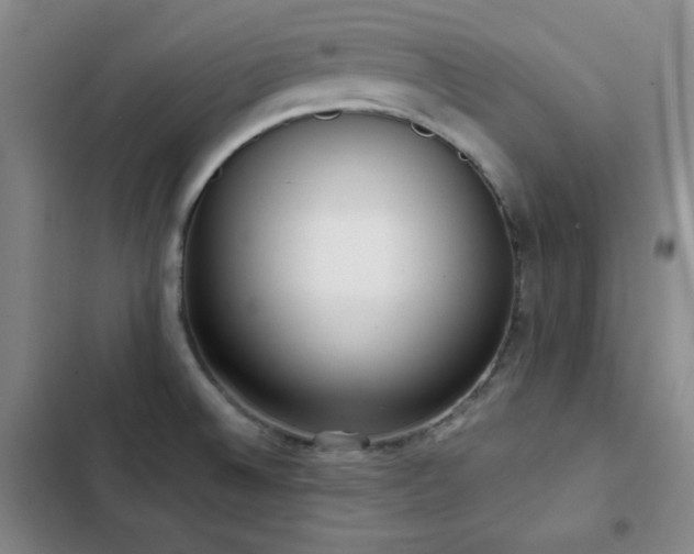 X0000103151524200808221319