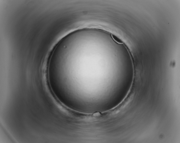 X0000103151525200808221319