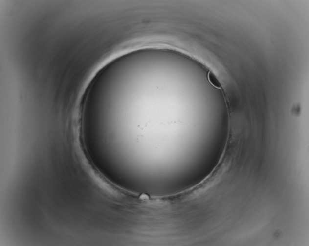 X0000103151526200808221319