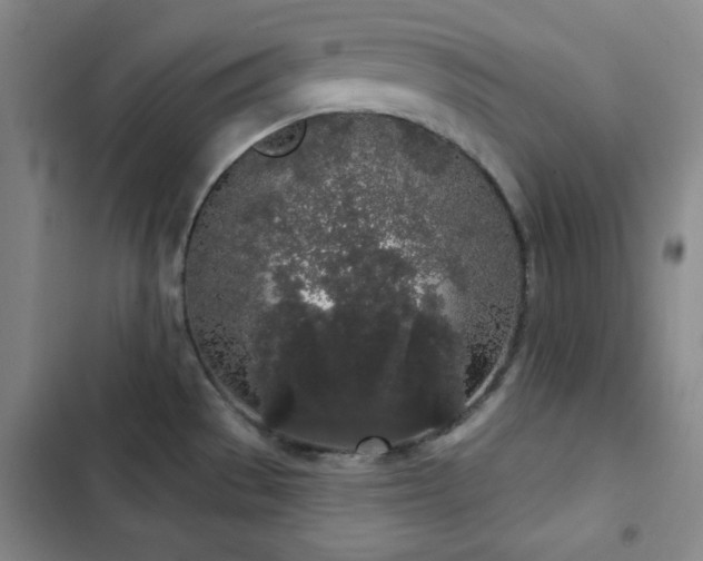 X0000103151529200808221319