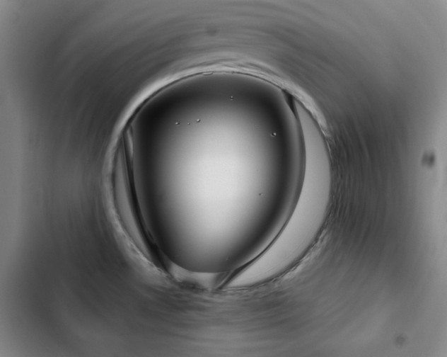 X0000103151530200808221319