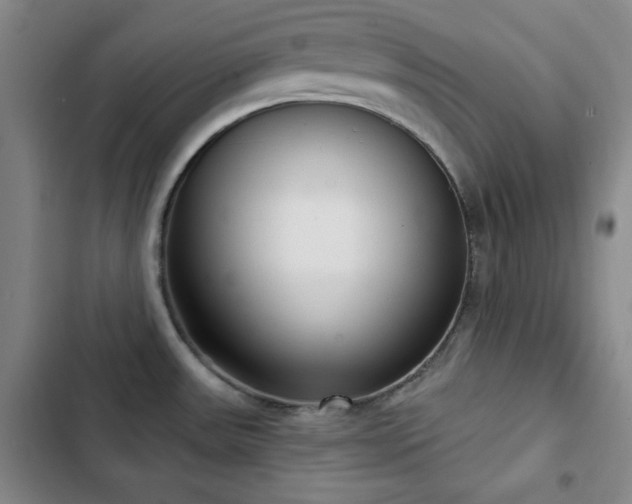 X0000103151531200808221319
