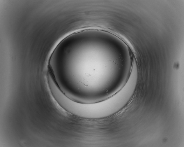 X0000103151532200808221319