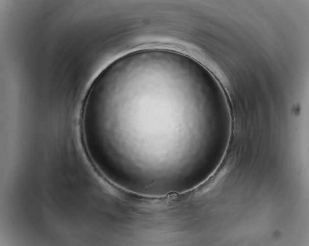 X0000103151533200808221319