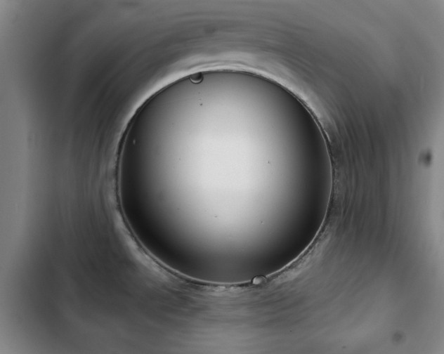 X0000103151534200808221319
