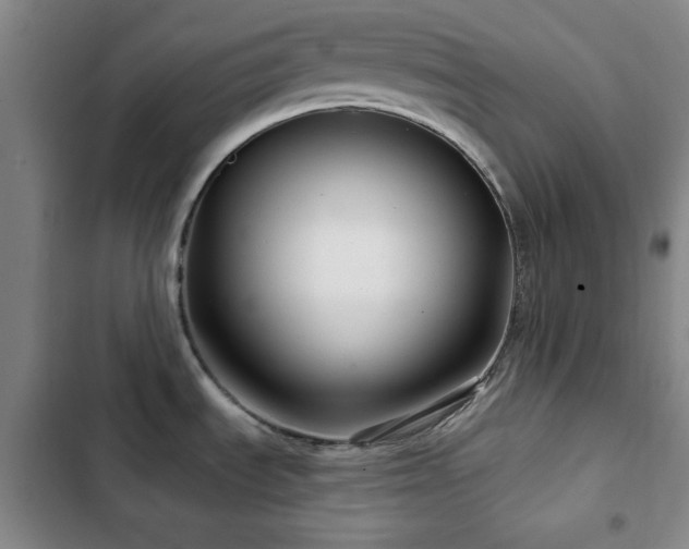 X0000103151535200808221319