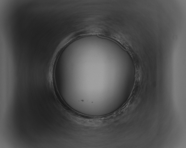 X0000103150004200808291439