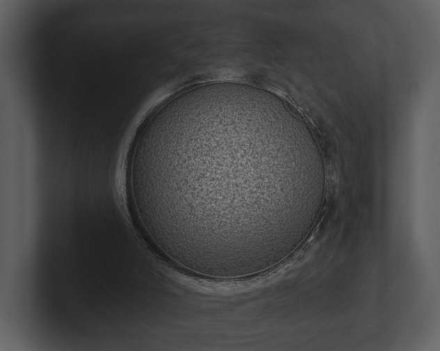 X0000103150006200808291439