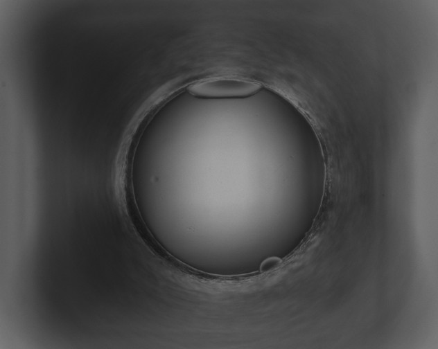 X0000103150007200808291439