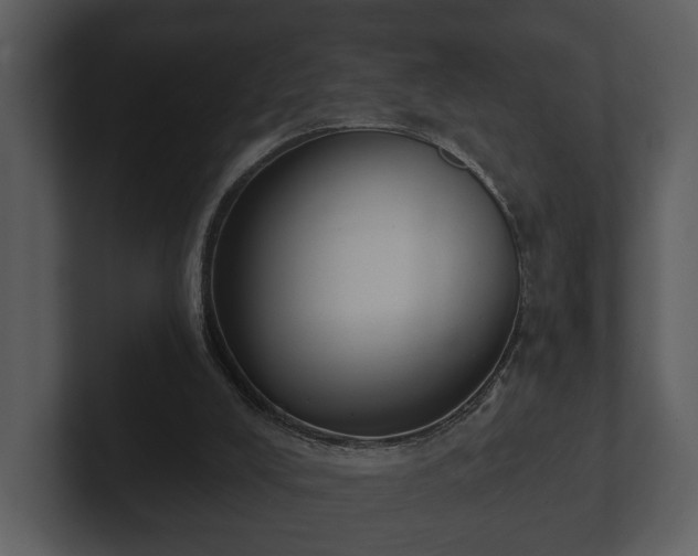 X0000103150008200808291439