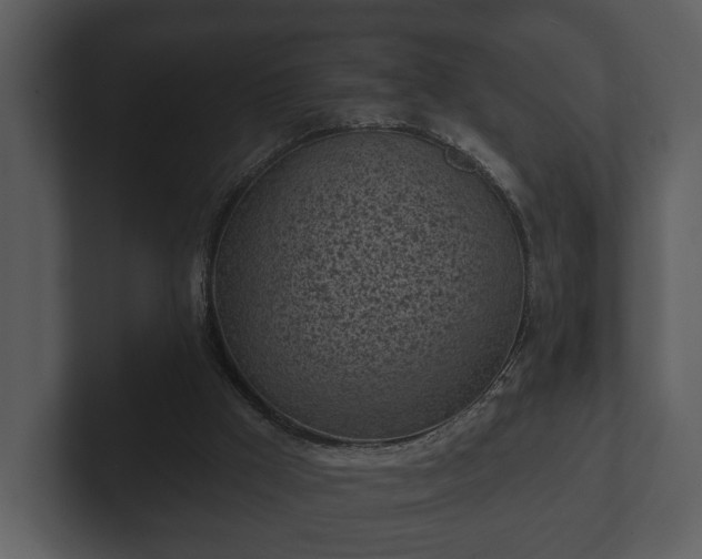 X0000103150009200808291439