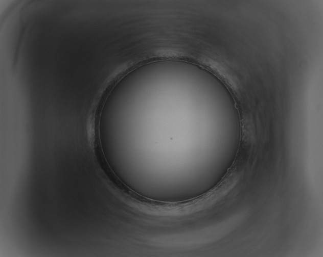 X0000103150015200808291439