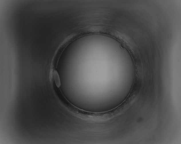 X0000103150016200808291439