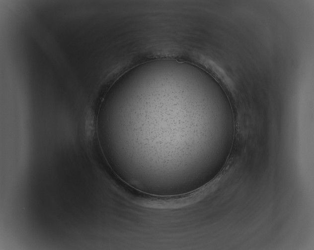 X0000103150017200808291439