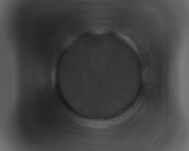 X0000103150018200808291439