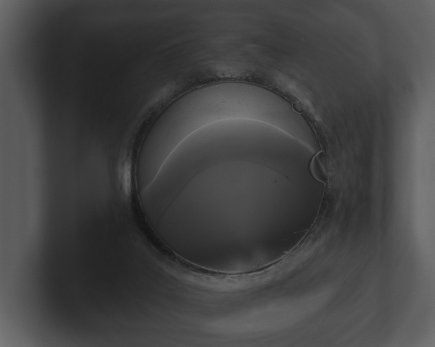 X0000103150019200808291439