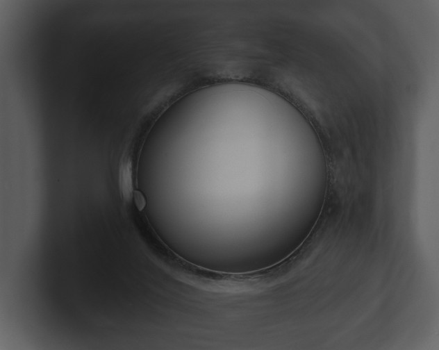 X0000103150020200808291439