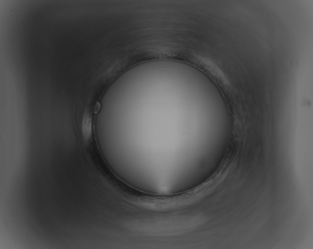 X0000103150021200808291439