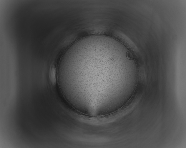 X0000103150022200808291439