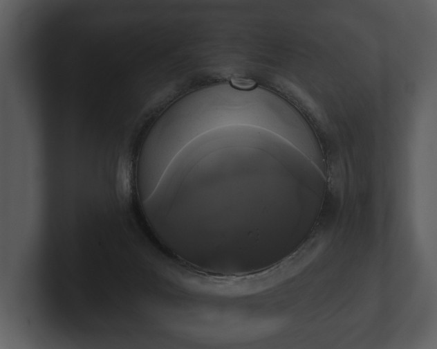 X0000103150023200808291439