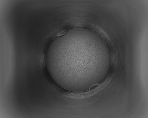 X0000103150029200808291439