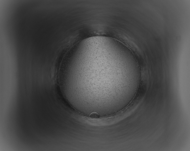 X0000103150030200808291439