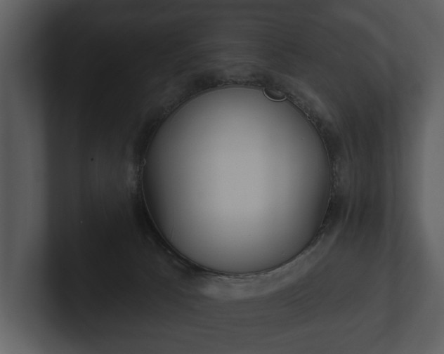 X0000103150033200808291439