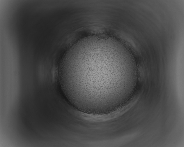 X0000103150034200808291439