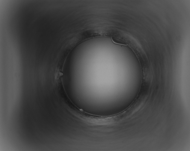 X0000103150036200808291439