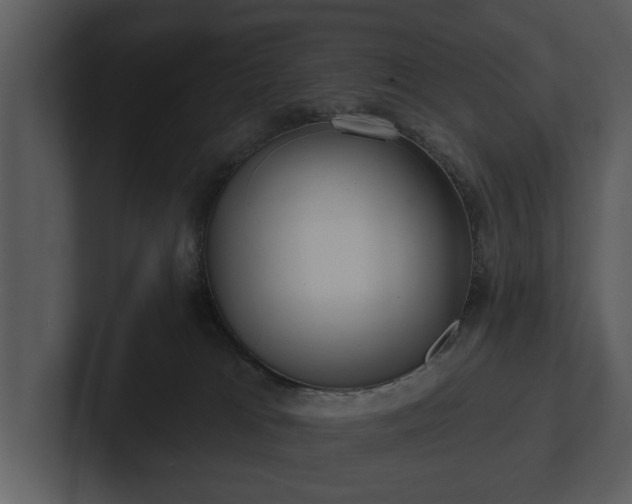 X0000103150037200808291439