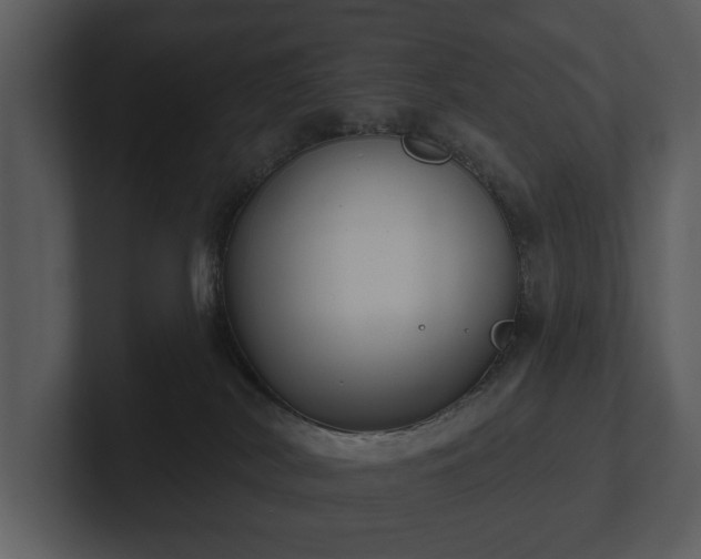 X0000103150038200808291439