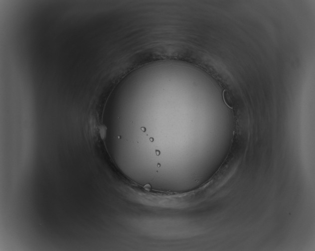 X0000103150040200808291439