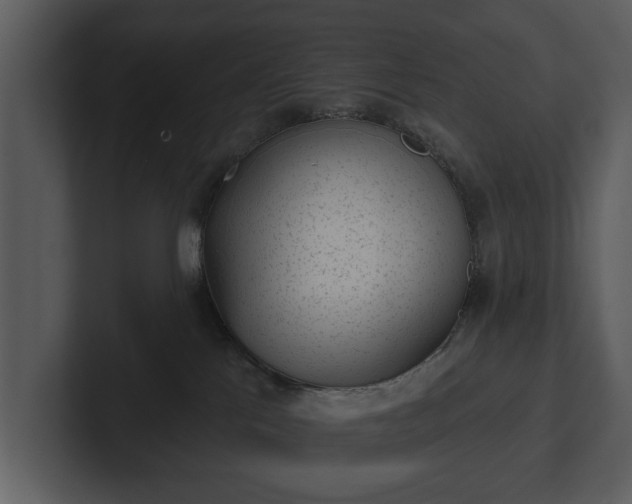 X0000103150041200808291439