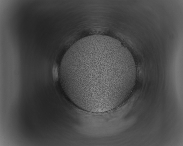 X0000103150042200808291439