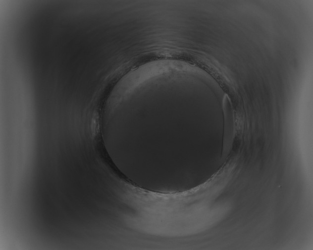 X0000103150043200808291438