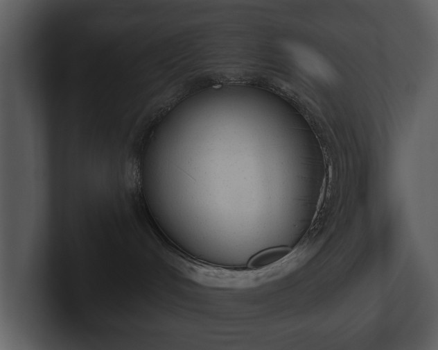 X0000103150048200808291438