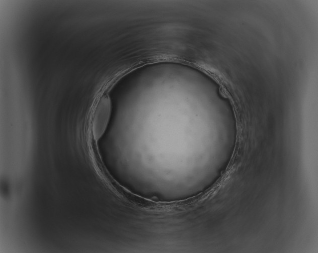 X0000103150049200808291438