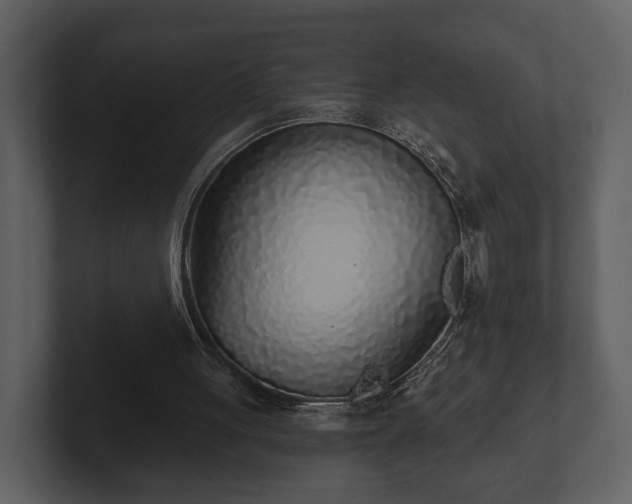 X0000103150051200808291438