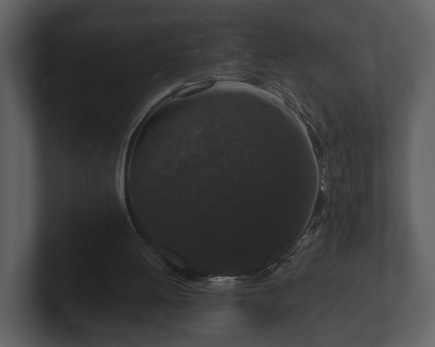 X0000103150052200808291438