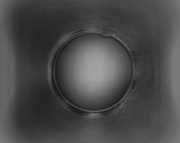 X0000103150055200808291438