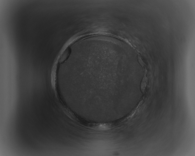 X0000103150056200808291438