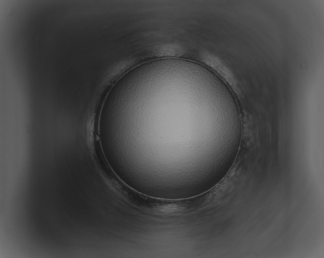 X0000103150058200808291438