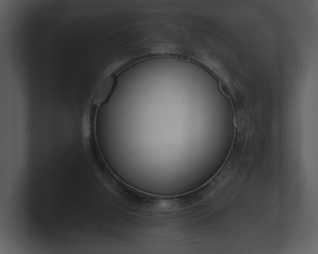 X0000103150060200808291438