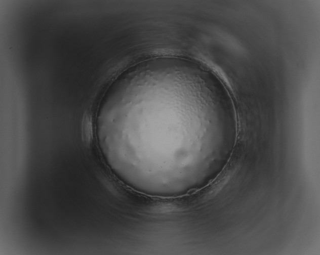 X0000103150061200808291438