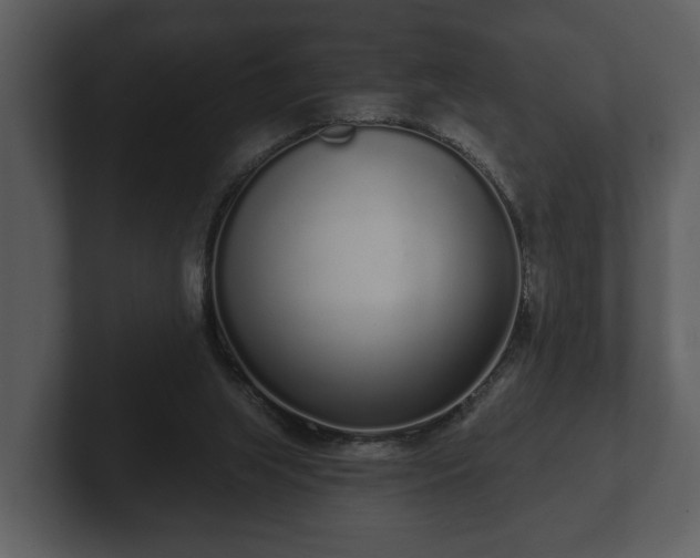 X0000103150063200808291438